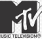 mtv networks